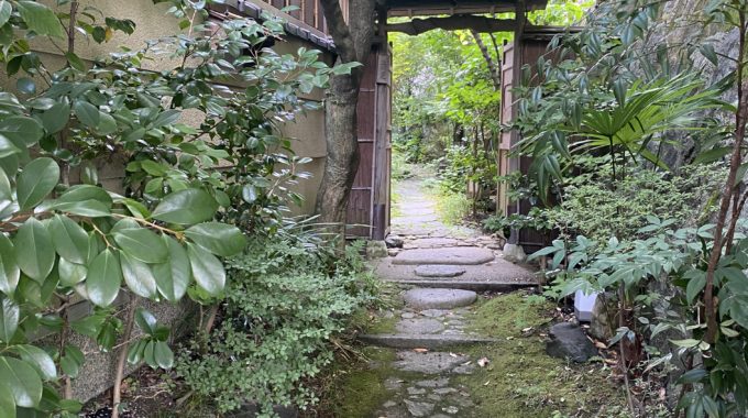 京都の半日一人旅プラン: 楽しみ方ガイド